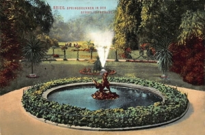 Brzeg - Reprodukcja 24690