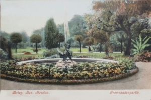 Brzeg - Reprodukcja 24691