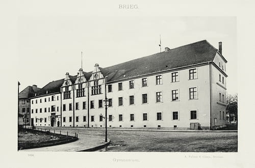 nowe-24693.jpg