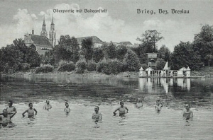 Brzeg - Reprodukcja 24701