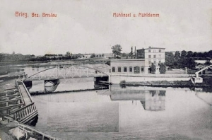 Brzeg - Reprodukcja 24702