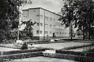 Brzeg - Reprodukcja 24703