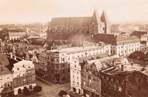 nowe-24710.jpg