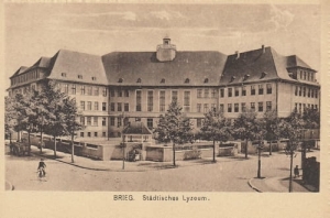 Brzeg - Reprodukcja 24716