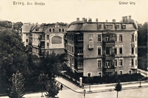 Brzeg - Reprodukcja 24730