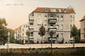 Brzeg - Reprodukcja 24731