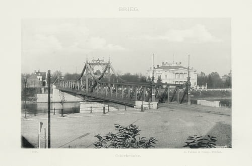 nowe-24740.jpg