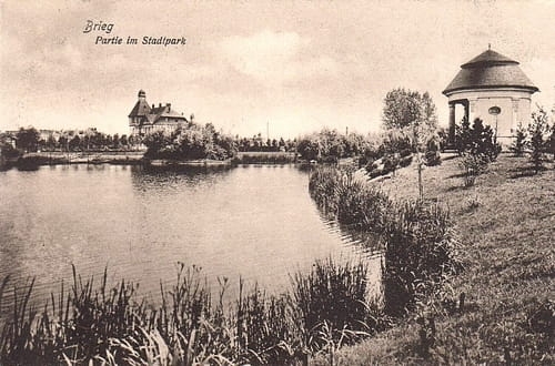 nowe-24744.jpg