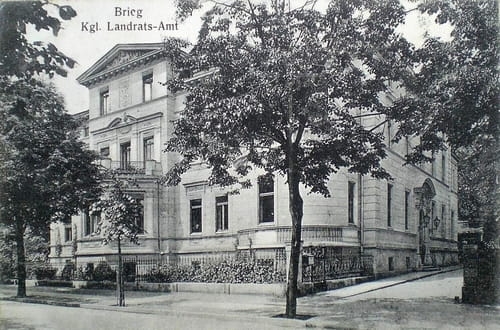 nowe-24750.jpg