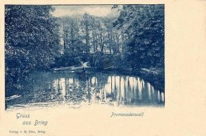 Brzeg - Reprodukcja 24751