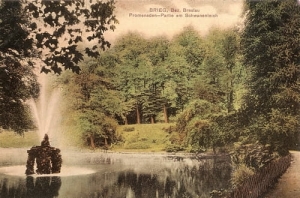 Brzeg - Reprodukcja 24752