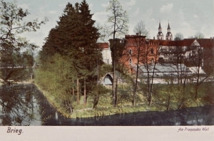 Brzeg - Reprodukcja 24753