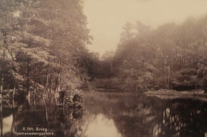 Brzeg - Reprodukcja 24754