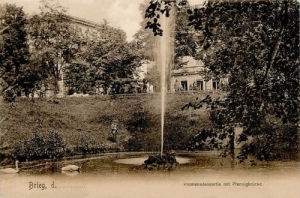 Brzeg - Reprodukcja 24755