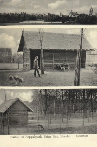 Brzeg widokowa - Reprodukcja 24756