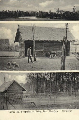 nowe-24756.jpg