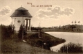nowe-24758.jpg