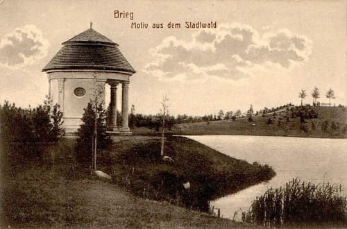 nowe-24758.jpg