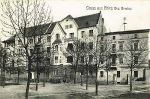 Brzeg - Reprodukcja 24759