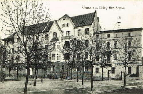nowe-24759.jpg