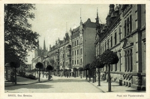 Brzeg Piastenstr. - Reprodukcja 24764