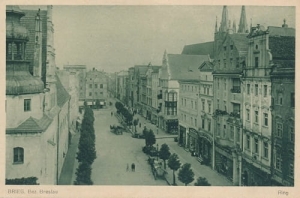 Brzeg Rynek - Reprodukcja 24775