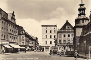 Brzeg - Reprodukcja 24782