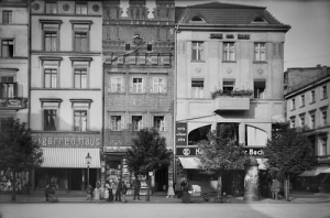 Brzeg - Reprodukcja 24800