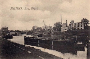 Brzeg - Reprodukcja 24802