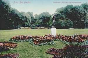 Brzeg - Reprodukcja 24803