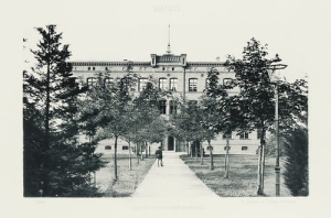 Brzeg - Reprodukcja 24804