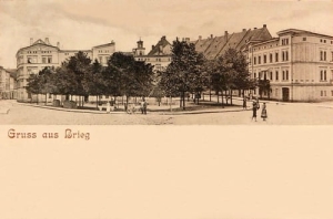 Brzeg - Reprodukcja 24812