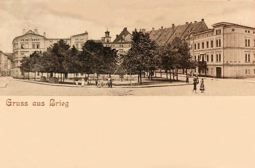 nowe-24812.jpg