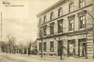 Brzeg - Reprodukcja 24813