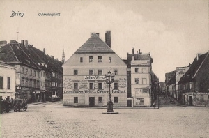 Brzeg - Reprodukcja 24824