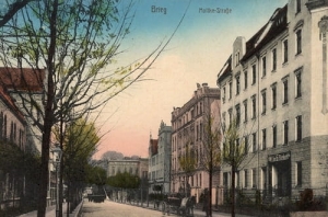 Brzeg Moltkestr. - Reprodukcja 24827