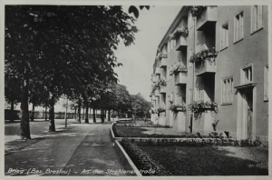 Brzeg Strehlenerstr. - Reprodukcja 24828