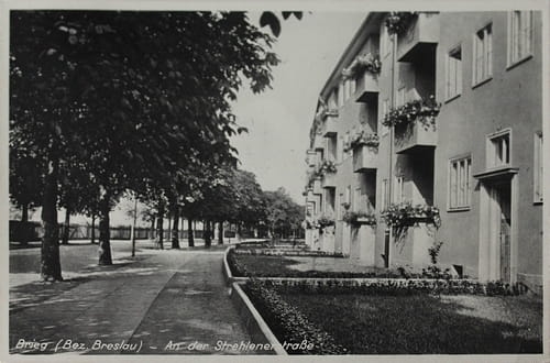 nowe-24828.jpg