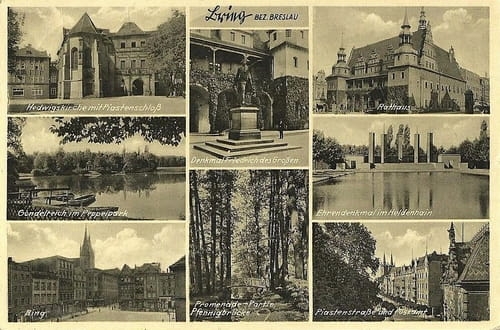 nowe-24835.jpg