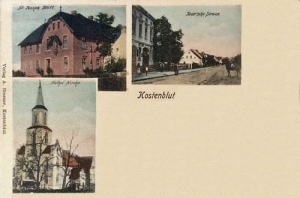 Kostomłoty widokowa - Reprodukcja 24851