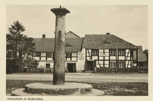 Kostomłoty pręgierz - Reprodukcja 24853