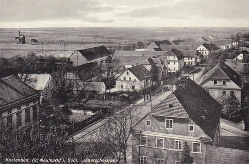 nowe-24857.jpg