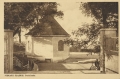 nowe-24871.jpg