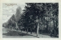 nowe-24919.jpg
