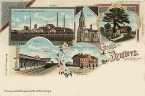 Czechowice Dziedzice - Reprodukcja 24928