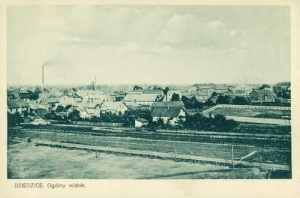 Czechowice Dziedzice - Reprodukcja 24931