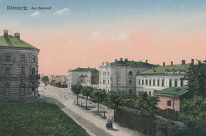 Czechowice Dziedzice - Reprodukcja 24939