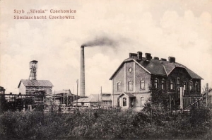 Czechowice Dziedzice - Reprodukcja 24952