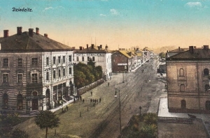 Czechowice Dziedzice - Reprodukcja 24961