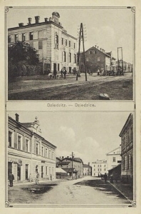 Czechowice Dziedzice - Reprodukcja 24966